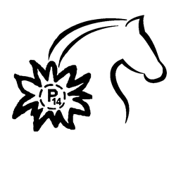 Logo für Norikerzuchtverein P 14
